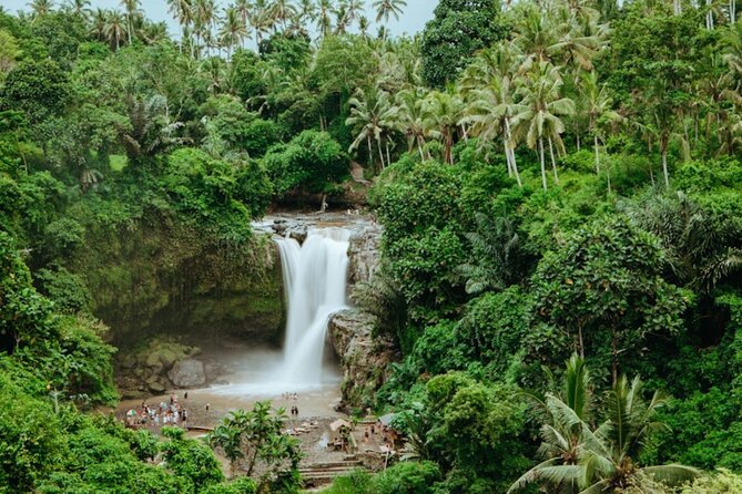 Private Ubud Day Tour Waterfalls Sacred Monkeys and Rice Fields - The guide can shape the whole day