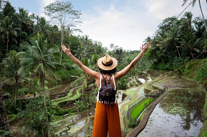 Private Ubud Day Tour Waterfalls Sacred Monkeys and Rice Fields - How the private format affects value