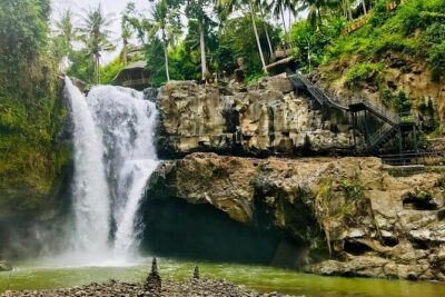Private Ubud Tour: Monkey Forest, Waterfall & Rice Terrace
