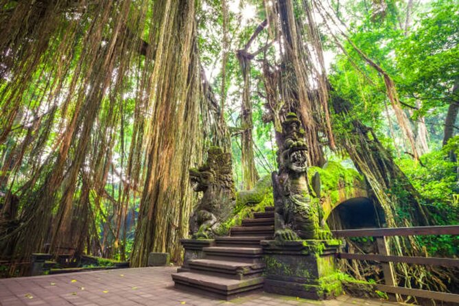 Private Ubud Tour: Monkey Forest, Waterfall & Rice Terrace - Art villages and extra Ubud sights
