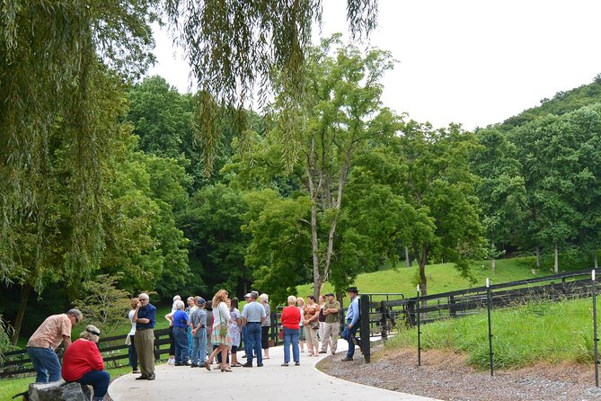 Private Walking Tour of a Real Working Cattle Ranch - A Family Outing With Enough to Hold a Teenager’s Attention