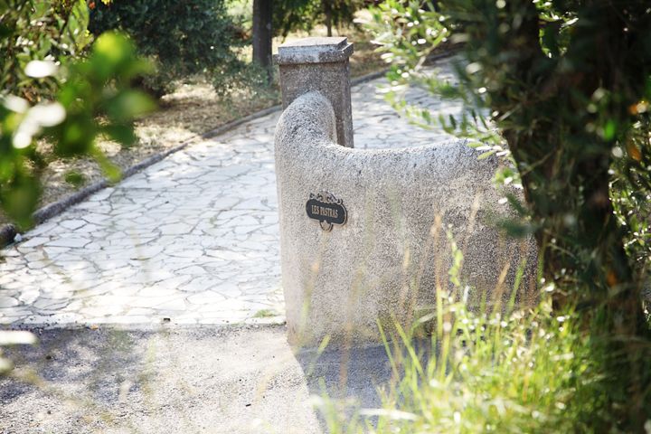 Provence Olive Harvest - What the olive lesson adds to the visit