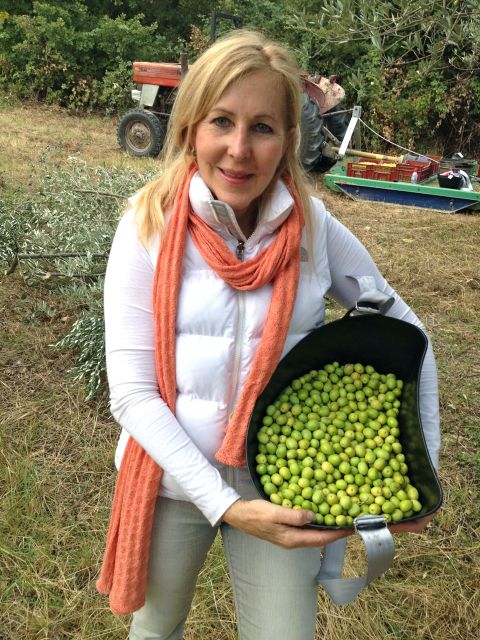 Provence Olive Harvest - Who will enjoy this most