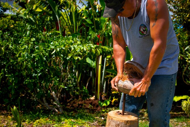 Pueo Farm Tour (1.5 hr) Upcountry Kula Maui Hawaii - Arriving at 20 Pulehunui Road in Kula