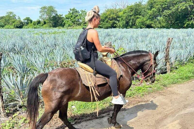 Puerto Vallarta: Horseback Riding at Hacienda Doña Engracia - Key points to know before you book