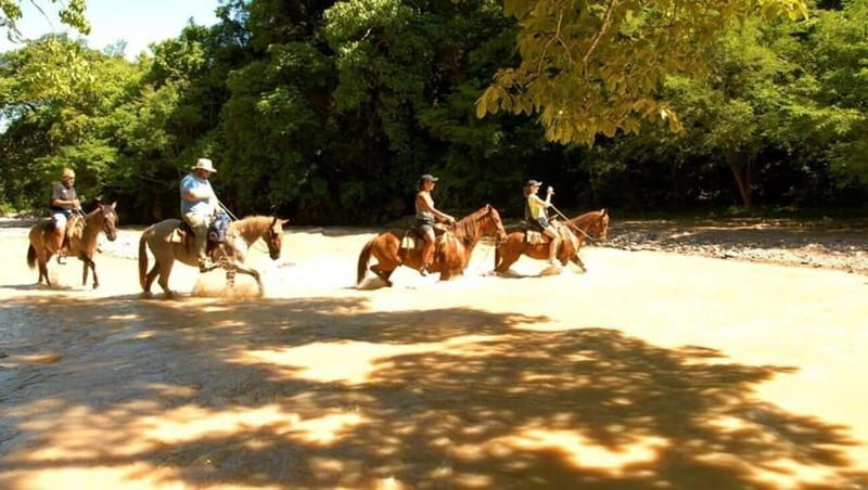 Puerto Vallarta: Horseback Riding at Hacienda Doña Engracia - Choosing a horse for your ability