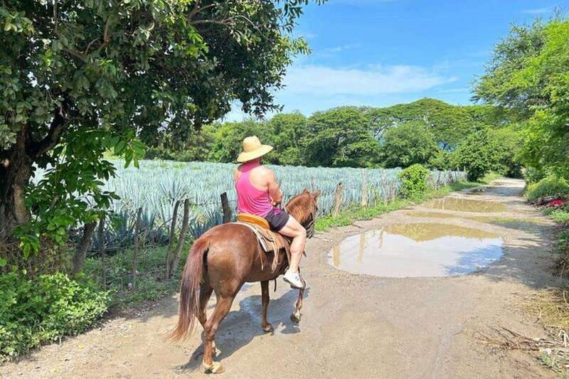 Puerto Vallarta: Horseback Riding at Hacienda Doña Engracia - Practical details that affect your decision