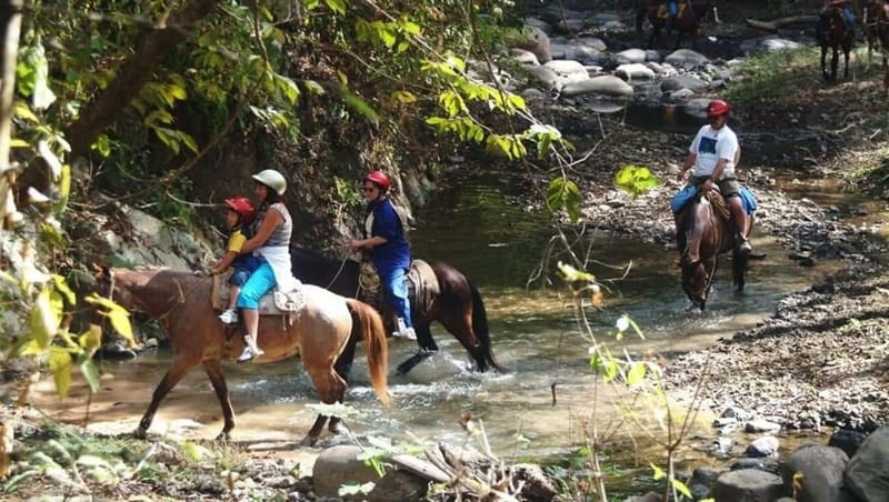 Puerto Vallarta: Horseback Riding at Hacienda Doña Engracia - Meeting at Nima Bay without starting on the wrong side