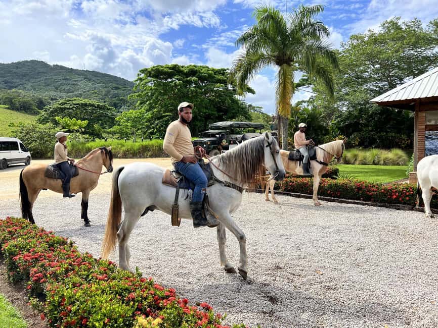 Punta Cana: Buggy and Zipline Adventure at La Hacienda - Key points at a glance