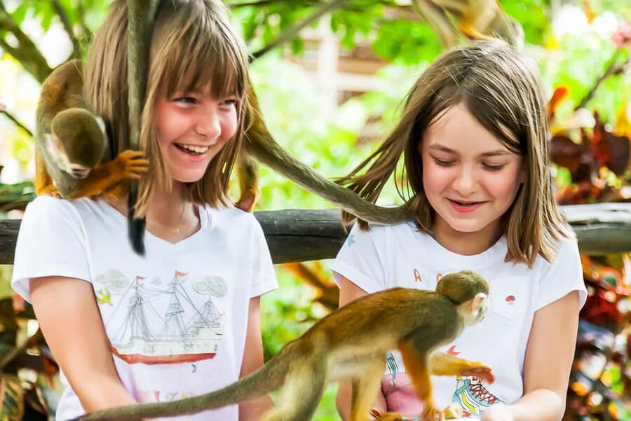 Punta Cana: Monkey Land Half-Day Safari and Plantation - Key points at a glance