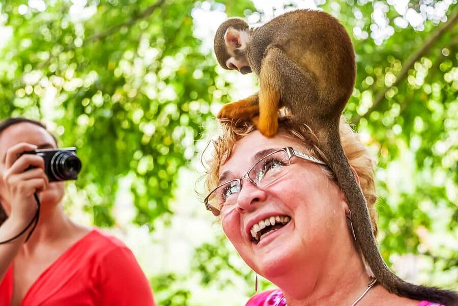 Punta Cana: Monkey Land Half-Day Safari and Plantation - The half-day plan from Punta Cana