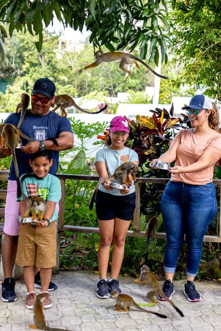 Punta Cana: Monkey Land Half-Day Safari and Plantation - The camera rules and photo package