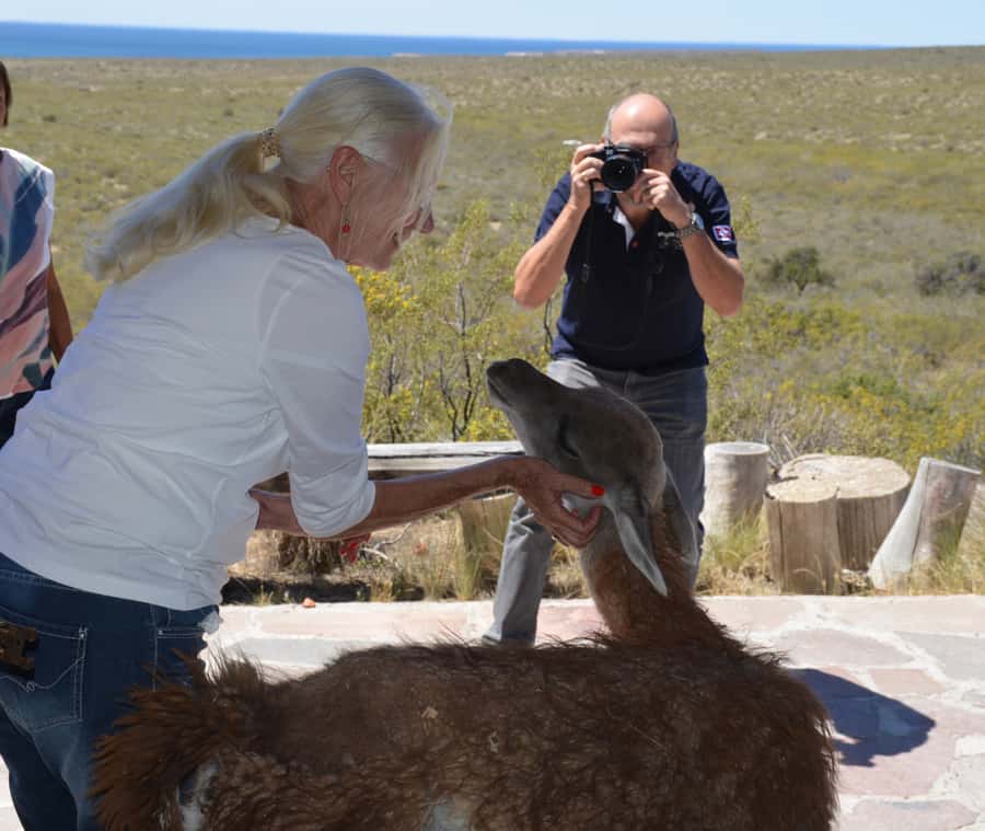 Punta Loma + Ranch Shore Excursion for cruise passengers - Mate, Tortas Fritas, and a Sheep Shearing Demonstration