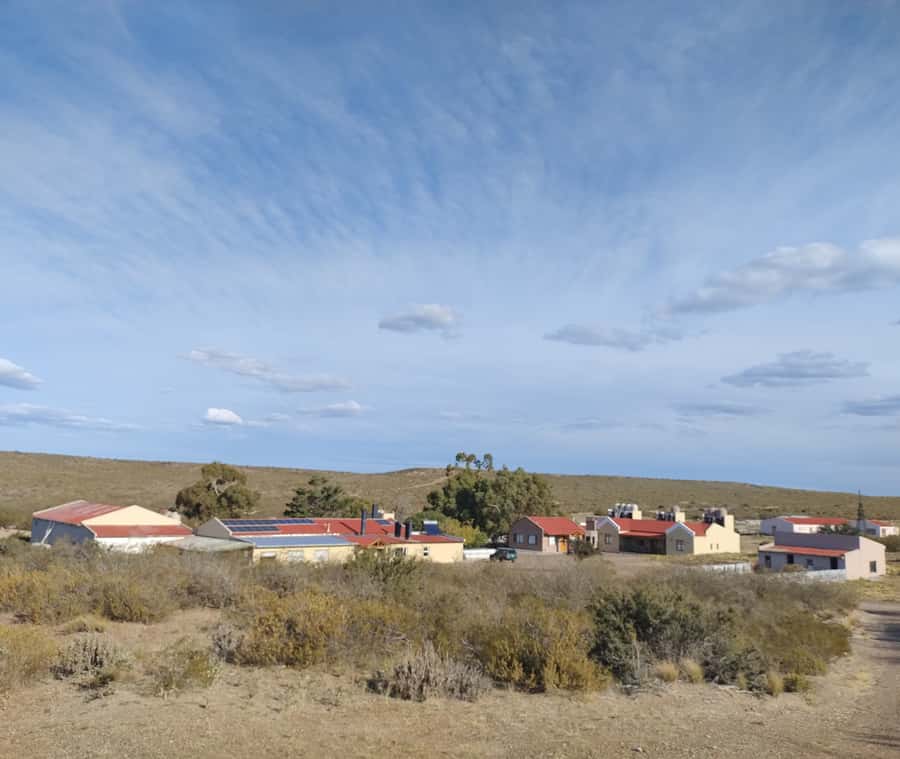 Punta Loma + Ranch Shore Excursion for cruise passengers - A Patagonian Lunch Built Around Lamb