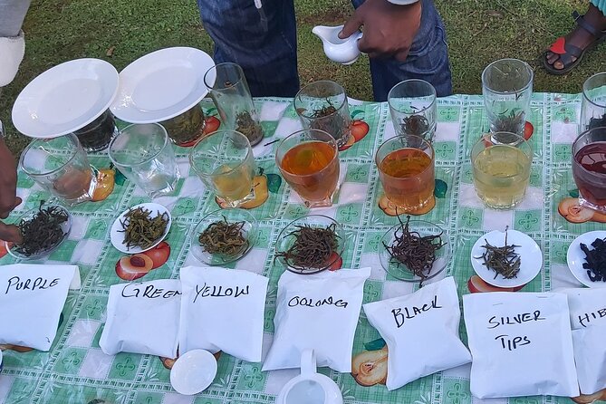 Purple Tea Farm Tour from Nairobi City - Specialty Tea Tasting - Learning the orthodox tea process