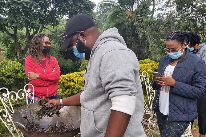 Purple Tea Farm Tour from Nairobi City - Specialty Tea Tasting - The nature walk to the waterfall