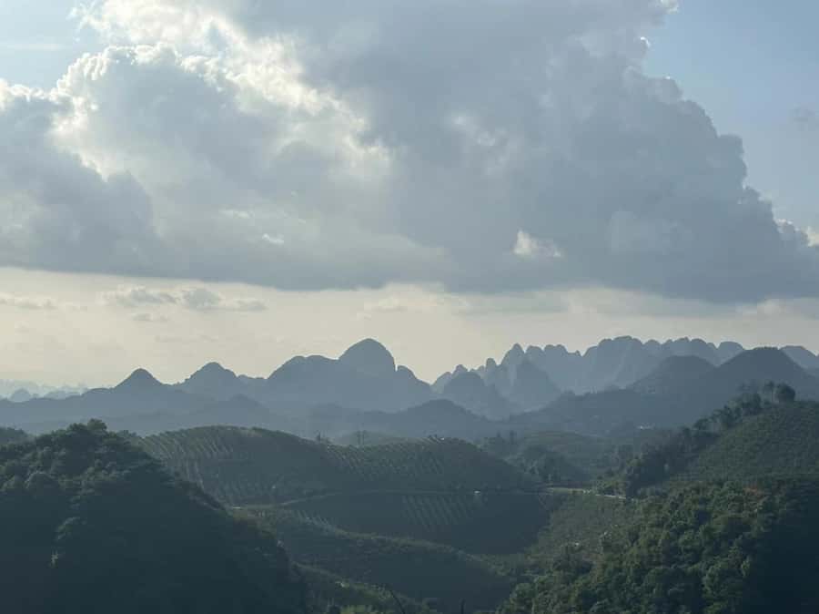 Qixianfeng Tea Plantation Tour in Yangshuo - Should you book Qixianfeng Tea Plantation?
