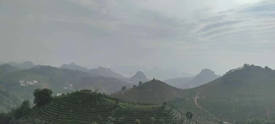 Qixianfeng Tea Plantation Tour in Yangshuo - Seven hills of tea at Qixianfeng
