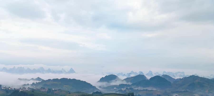 Qixianfeng Tea Plantation Tour in Yangshuo - Tasting black, white, and green tea