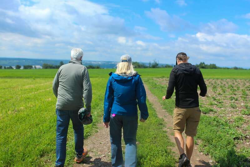 Quebec City - Agricultural Walking Tour on Ile d'Orléans - A dozen local tastes, from cheese to black garlic