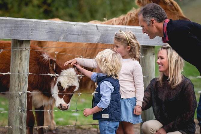 Queenstown Lake Cruise and Walter Peak Farm Adventure - Price and Value at $83.78