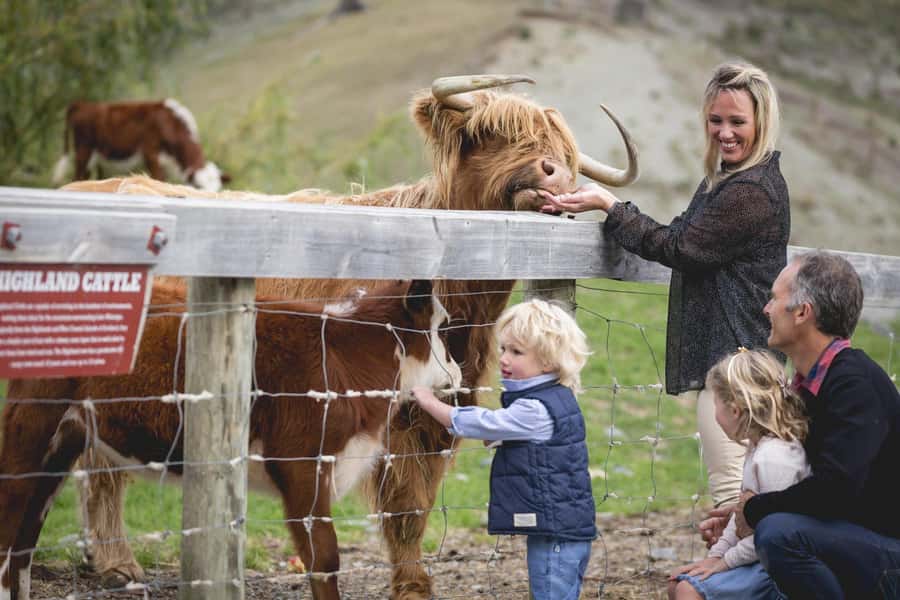 Queenstown: Queenstown Lake Cruise and Walter Peak Farm Tour - Why Walter Peak makes a good Queenstown break