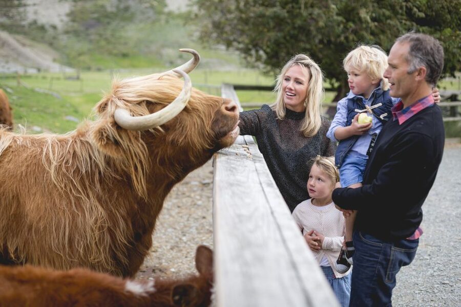 Queenstown: Queenstown Lake Cruise and Walter Peak Farm Tour - How much value do you get for the price?