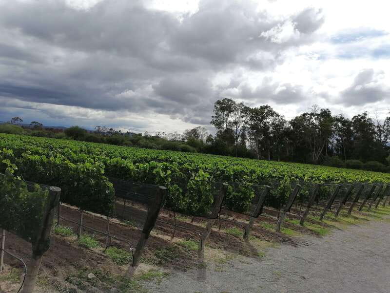 Querétaro: Haciendas, Vineyards, and Magical Towns Day Trip - The guide can shape the experience