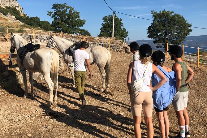 Ranch 22 Podstrana, " Horse riding 12 km from SPLIT " - Calm horses and a careful first lesson