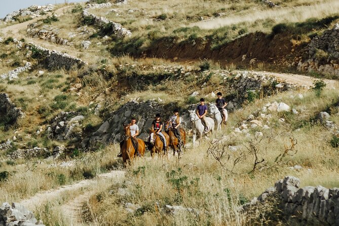 Ranch 22 Podstrana, " Horse riding 12 km from SPLIT " - The Adriatic view from the stone trail