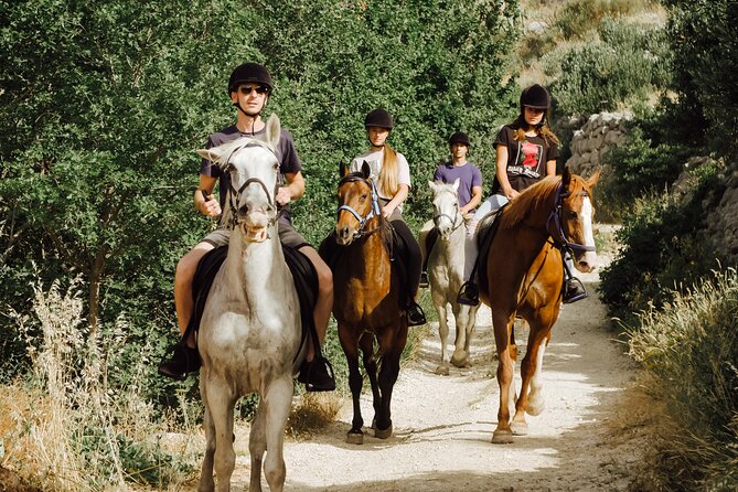 Ranch 22 Podstrana, " Horse riding 12 km from SPLIT " - Is $105 good value?