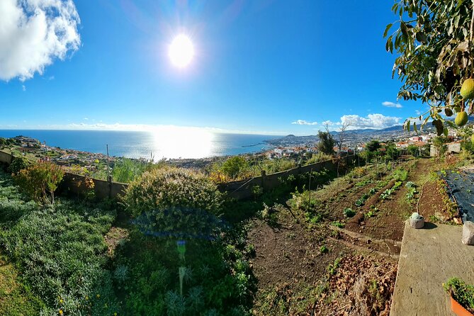 "Re-Canto" Farm-to-Table with Stunning Views at Madeira - A friendly dinner with a social side