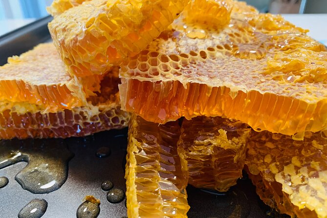 Reagan’s Honey Beekeeping Adventure - Meeting the beekeeper and heading to the apiary