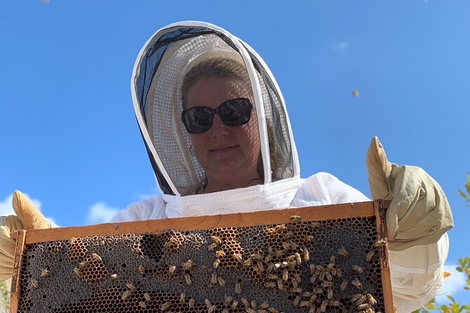 Reagan’s Honey Beekeeping Adventure - Looking for the queen inside a working hive