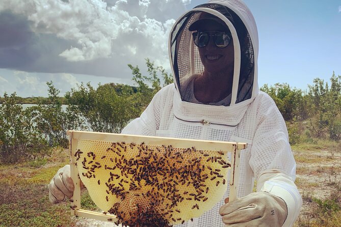Reagan’s Honey Beekeeping Adventure - Fresh Cayman honey and simple refreshments