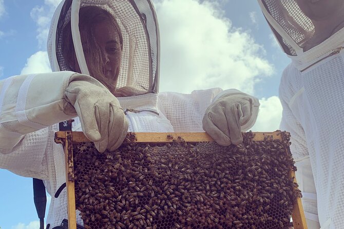 Reagan’s Honey Beekeeping Adventure - Who should book this beekeeping adventure