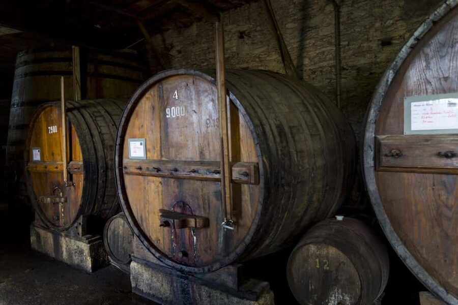 Régua: Wine Tasting at a Farm, Traditional Lunch, Cruise and Train - São Leonardo de Galafura and the high view