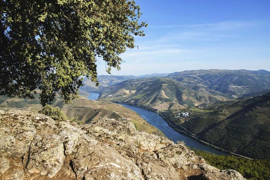 Régua: Wine Tasting at a Farm, Traditional Lunch, Cruise and Train - Cruising from Régua to Pinhão