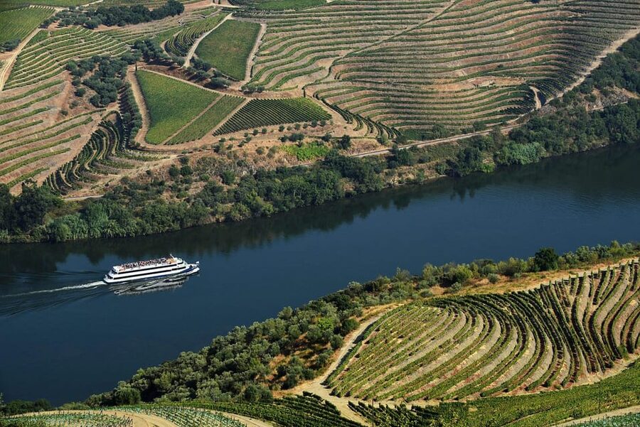 Régua: Wine Tasting at a Farm, Traditional Lunch, Cruise and Train - Returning by train along the Douro
