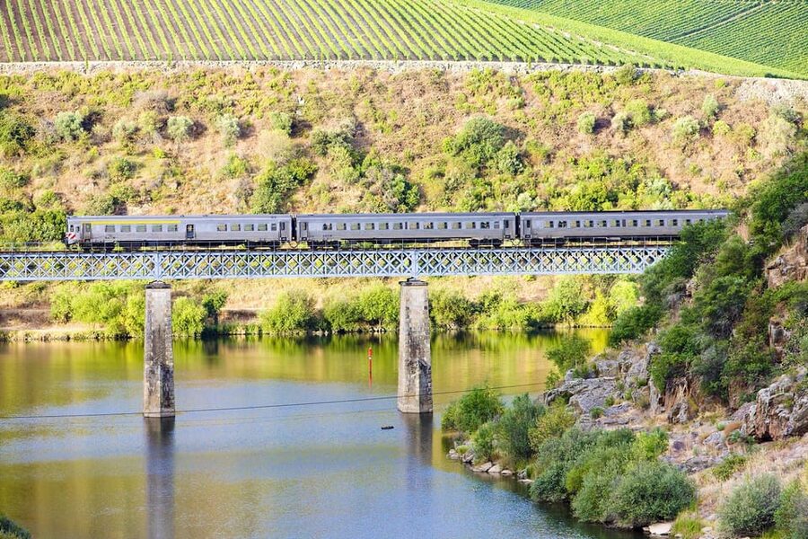 Régua: Wine Tasting at a Farm, Traditional Lunch, Cruise and Train - Who should book this Douro day?