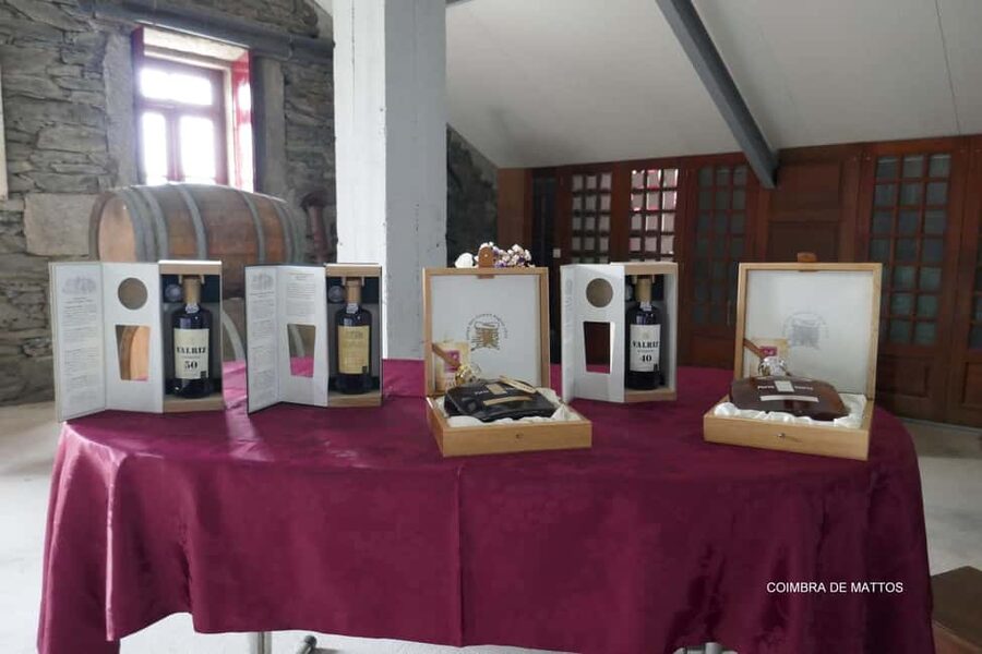 Régua: Wine Tasting at a Farm, Traditional Lunch, Cruise and Train - Should you book it?