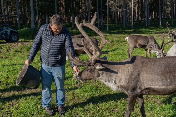 Reindeer Farm Experience in Summer and Autumn from Rovaniemi - Leaving Rovaniemi at 9:00 am