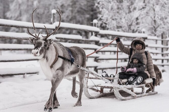 REINDEER FARM VISIT a real authentic experience - Key points to know before booking