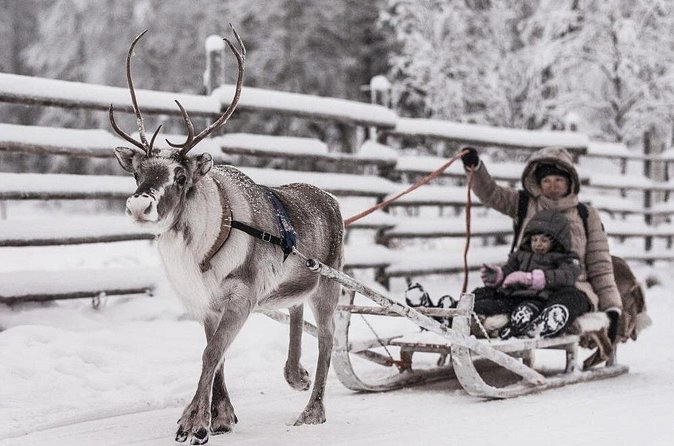 REINDEER FARM VISIT a real authentic experience - Clothing, comfort, and winter conditions