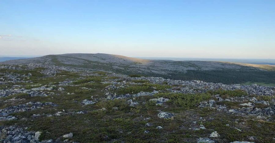 Reindeer Farm Visit & Wilderness Fell Adventure - Practical tips for making the most of it