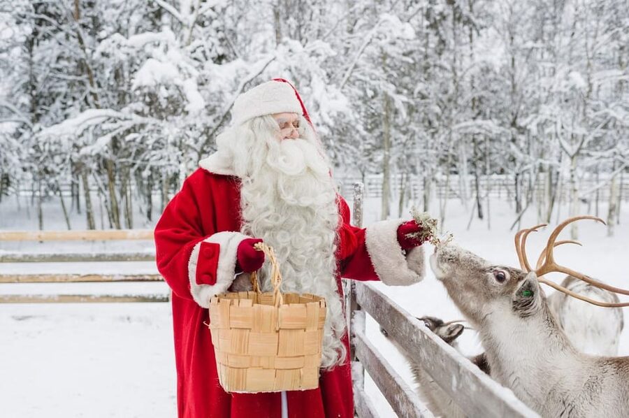 Reindeer Farm Visit with Sleigh Ride - Timing, meeting point, and the shape of the day