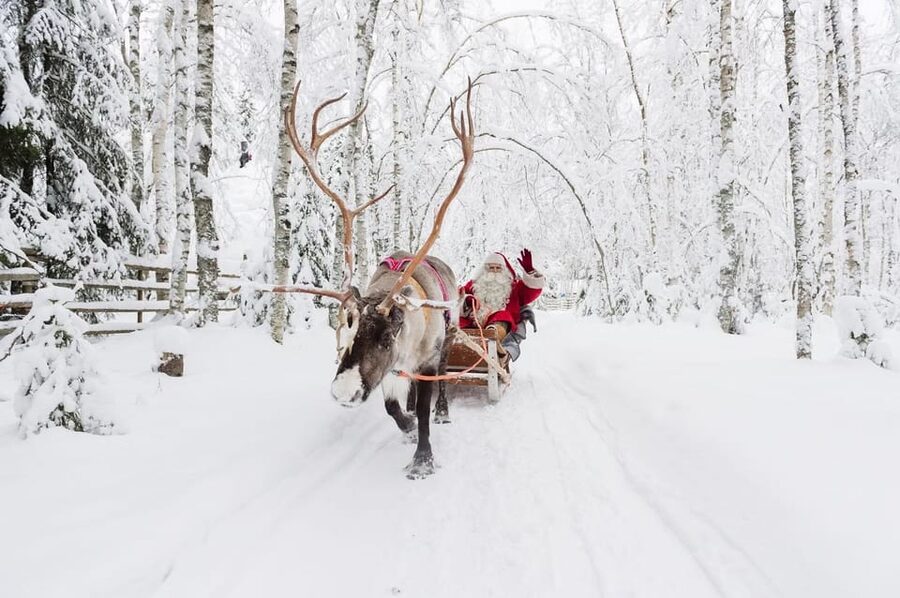 Reindeer Farm Visit with Sleigh Ride - Booking advice for a smoother visit