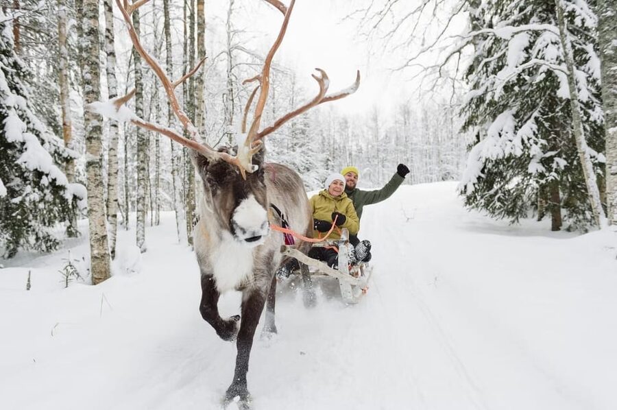 Reindeer Farm Visit with Sleigh Ride - Should you book the reindeer farm visit?