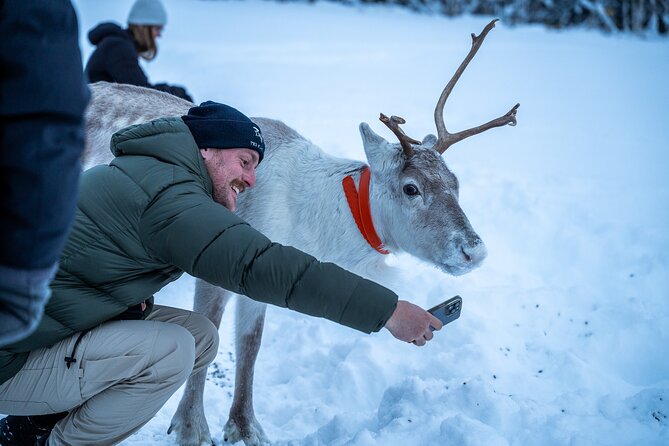 Reindeer Sledding, Feeding And Sami Culture At Reindeer Farm - Warm clothing and winter planning