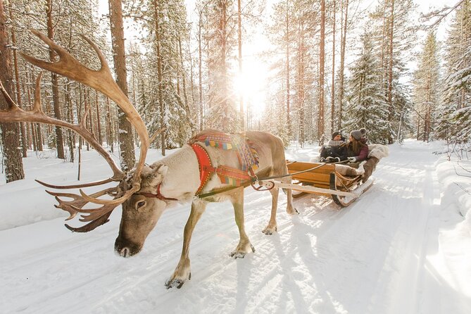 Reindeer Sleigh Ride and Farm Experience from Rovaniemi - Guide language and the human side of the visit